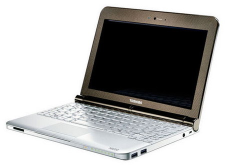 Toshiba Mini NB200