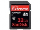 SanDisk      SDHC