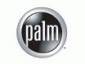Palm    