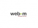 Google     WebM  -
