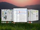 Dell   Chrome OS   