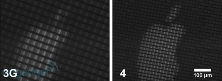 iphone-microscopy-02