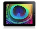  :  iPad      OLED 