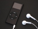 Apple     iPod nano