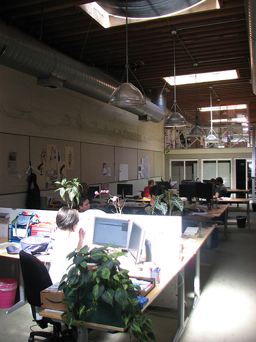 450175540_5239a74f79