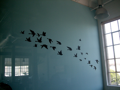 2767126904_3c7fd48e10