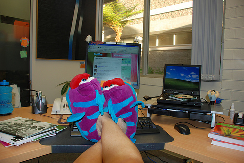 3231284012_187b7ece3f