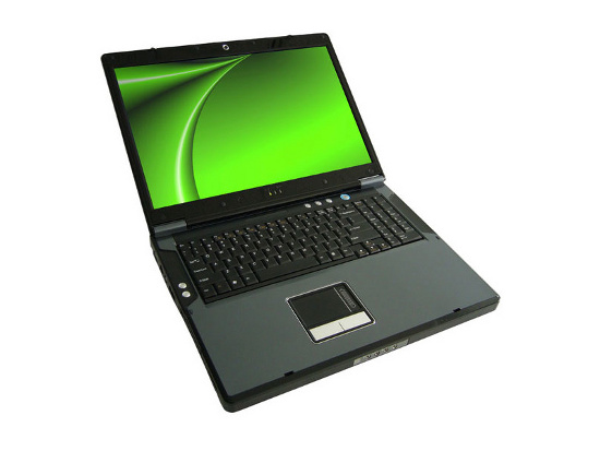 Eurocom D900F Panther Server