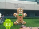    Android 2.3 Gingerbread