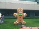   Android 2.3 Gingerbread