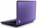 HP     laptop
