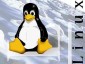 Linux      2010 