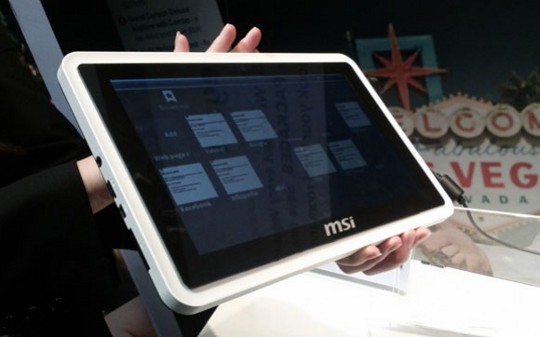   MSI WindPad 110W  WindPad 100A   