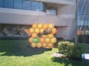 Google   Android Honeycomb