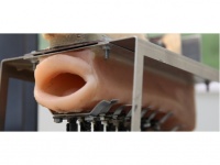 Robotech 2011:    Sawada