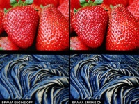  Sony Ericsson Mobile BRAVIA Engine  