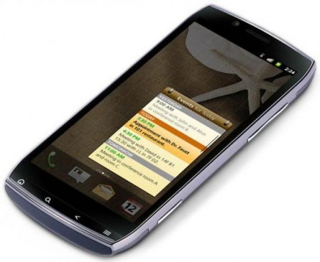 acericoniasmart01-575x472