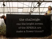 Sony Ericsson Xperia Arc     