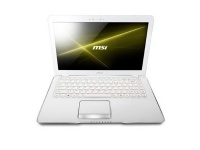 MSI X370    AMD E-450