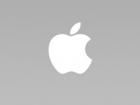  2013  Apple  143  iPhone  68  iPad