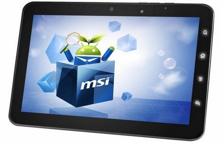 MSI     MSI WindPad Enjoy7