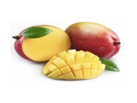 Microsoft   Windows Phone 7.5 Mango