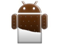    Android 4.0 Ice Cream Sandwich?