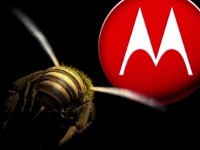    Motorola   100 000 Xoom