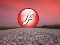 Adobe    Flash Player   