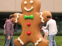  Android Gingerbread  50%    Android