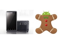 LG Optimus 3D (P920)   Android 2.3.5 Gingerbread