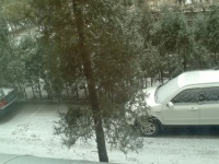  ,   Sony ST25i (Kumquat)