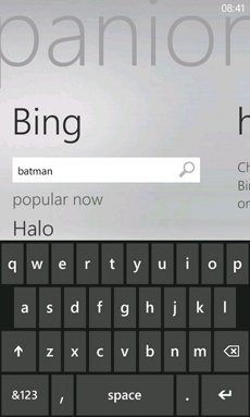 Xbox Companion Bing search