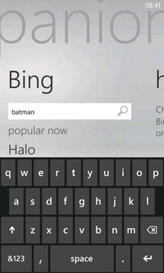 Xbox Companion Bing search