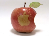   Apple   2011 
