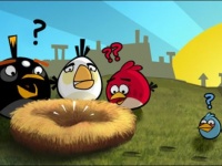 Rovio    ,    Angry Birds