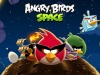  Angry Birds Space    -  1
