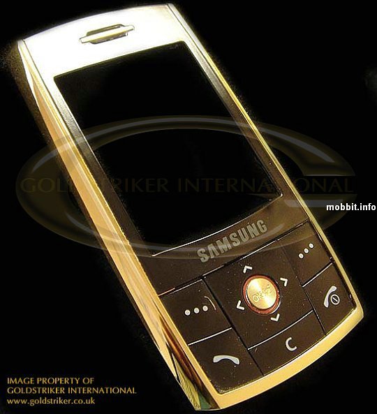 Goldstriker International