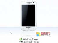     Samsung SGH-i667 Mandel