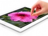 Apple      iPad -  2