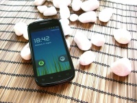   Android 4.1.1     Google Nexus S