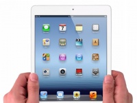 Pegatron     iPad Mini