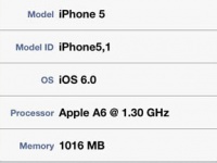   iPhone 5     
