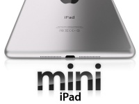  Apple  16  iPad Mini
