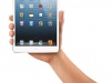 Apple iPad mini   -  1