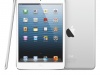 Apple iPad mini   -  3