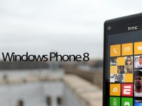    WP8    