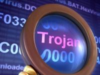  Trojan.Winlock   