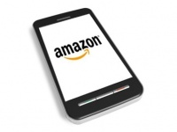   Amazon      100  200 