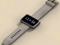 Neptune Computer   Neptune Pine   1 